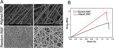 Laminin-Coated Electrospun Regenerated Silk Fibroin Mats Promote Neural Progenitor Cell Proliferation, Differentiation, and Survival in vitro